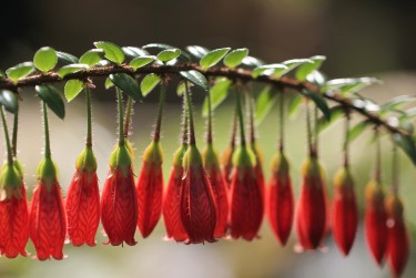 珠海香洲区4私人快速借钱网，轻松解决资金难题