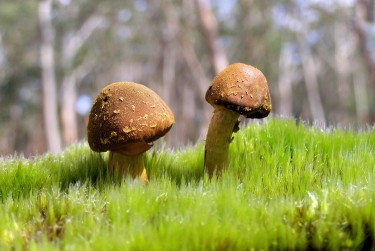 珠海香洲区4私人老板放款：轻松融资的秘密通道